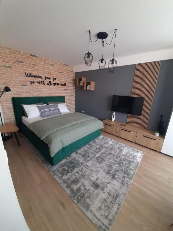 City Center View Studio Apartment 1 Тимишоара Экстерьер фото