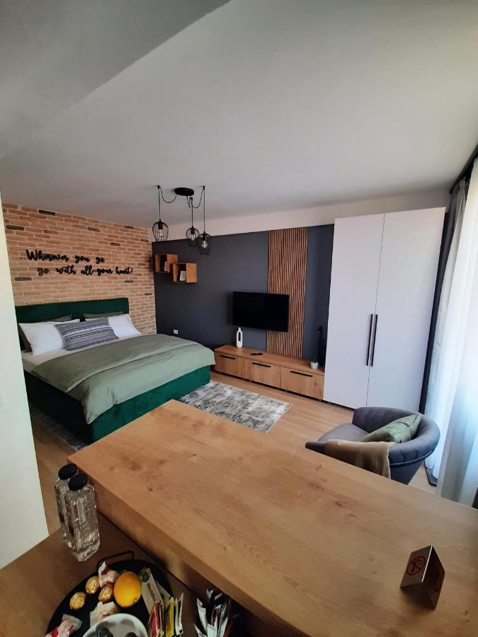 City Center View Studio Apartment 1 Тимишоара Экстерьер фото