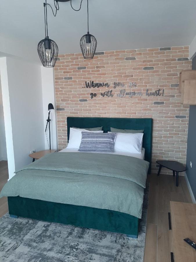 City Center View Studio Apartment 1 Тимишоара Экстерьер фото